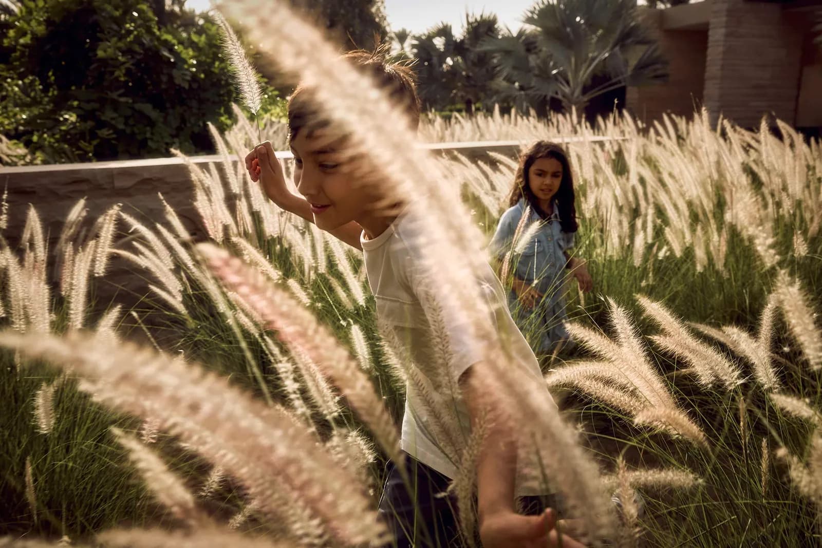 Athlon, Aldar
